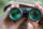 Succop Nature Park is a Premier Bird Watching Destination
